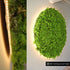 ETLED STRIP 5,2W IP20 3000K 10MM 24V DC 15M CRI 80 520LM/M