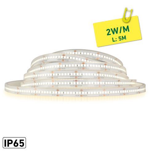 ETLED STRIP 2W IP65 2700K 12MM 24V DC 5M CRI 90 240LM/M